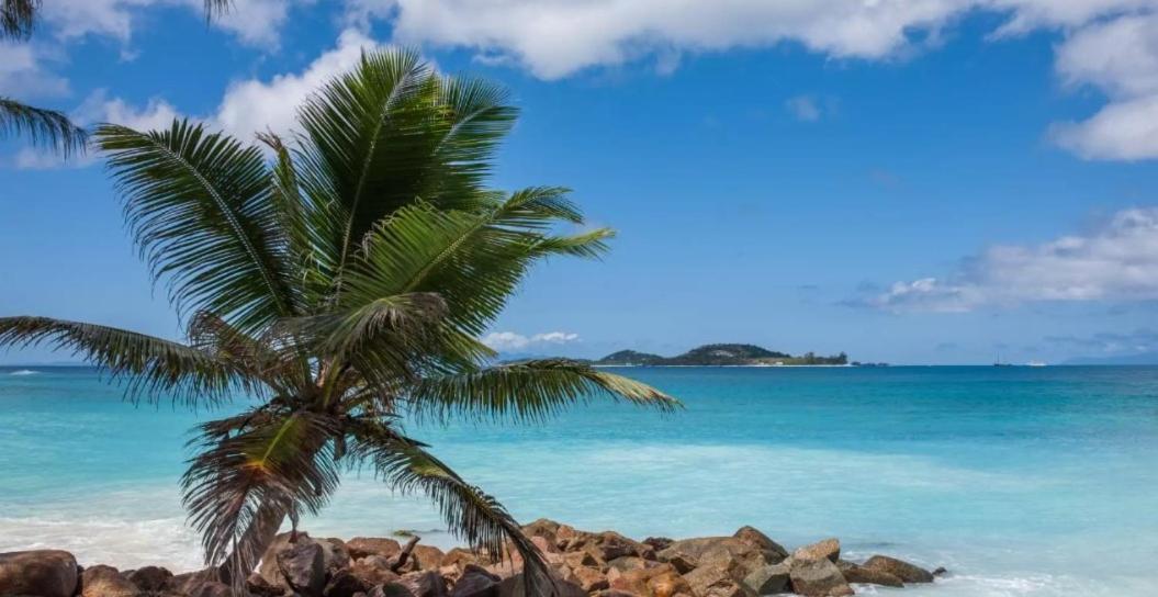 Happy Stay Villa Grand Anse  Extérieur photo