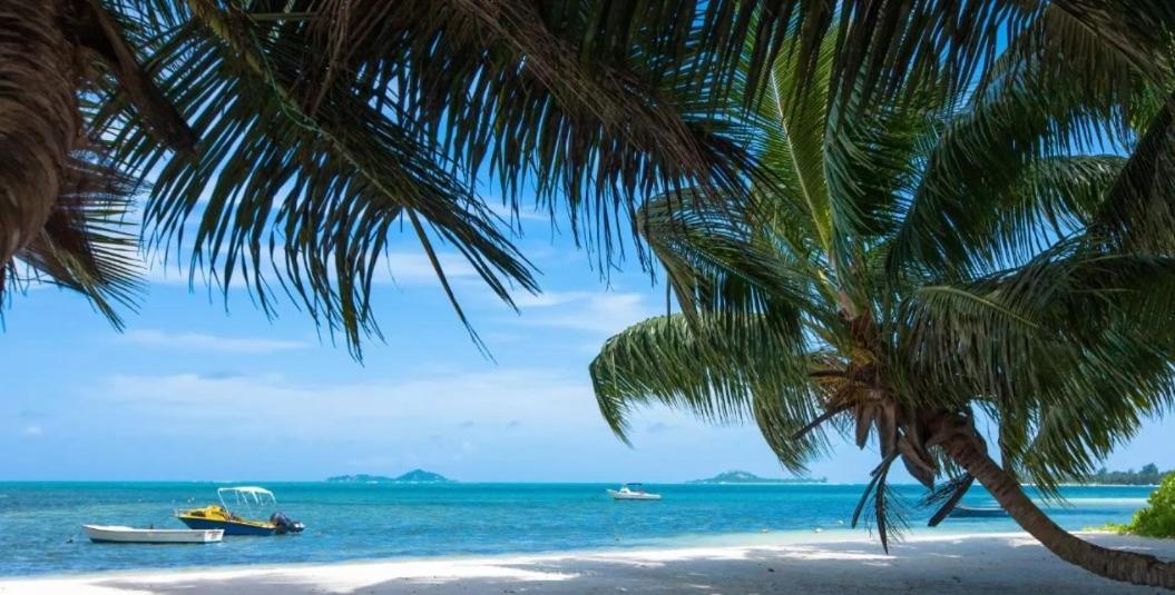 Happy Stay Villa Grand Anse  Extérieur photo