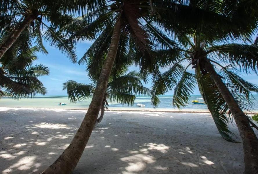 Happy Stay Villa Grand Anse  Extérieur photo